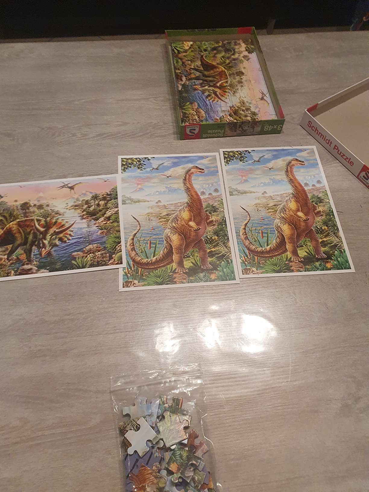 Dino-Fan glücklich