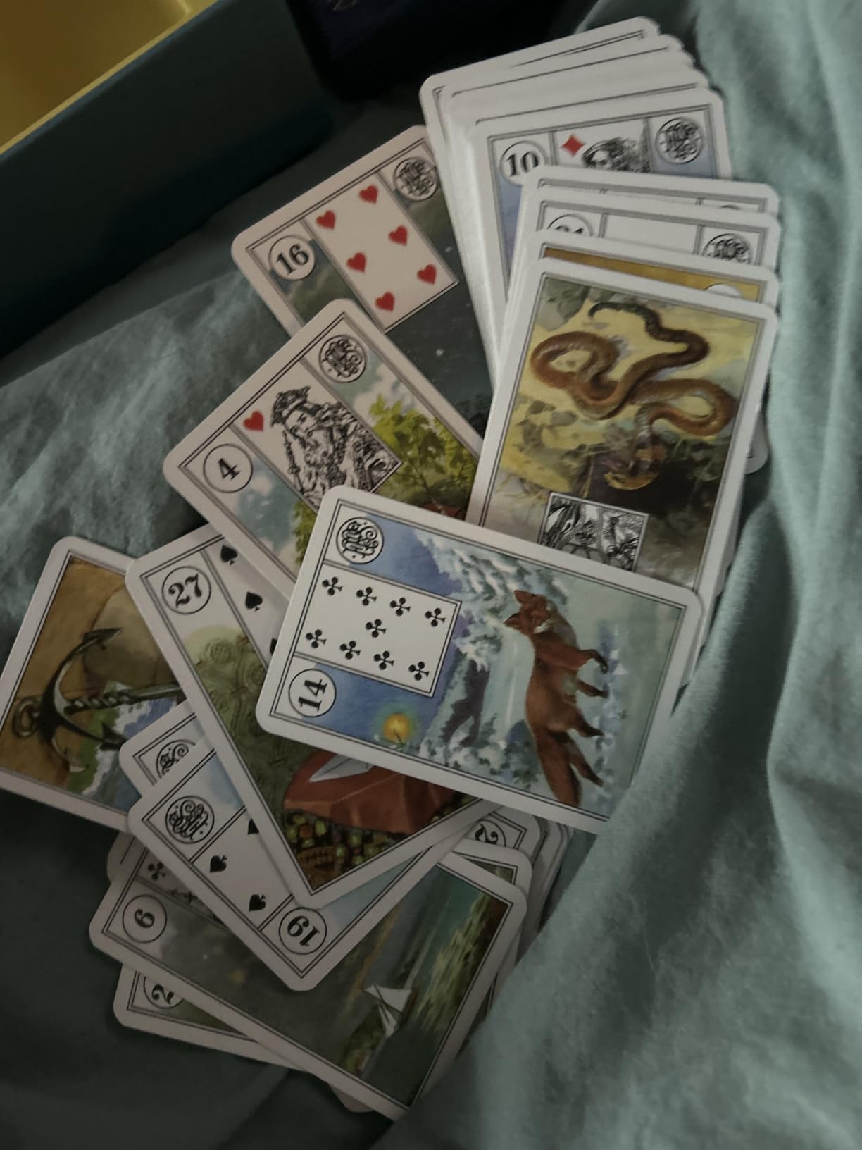 Schöne Bilder