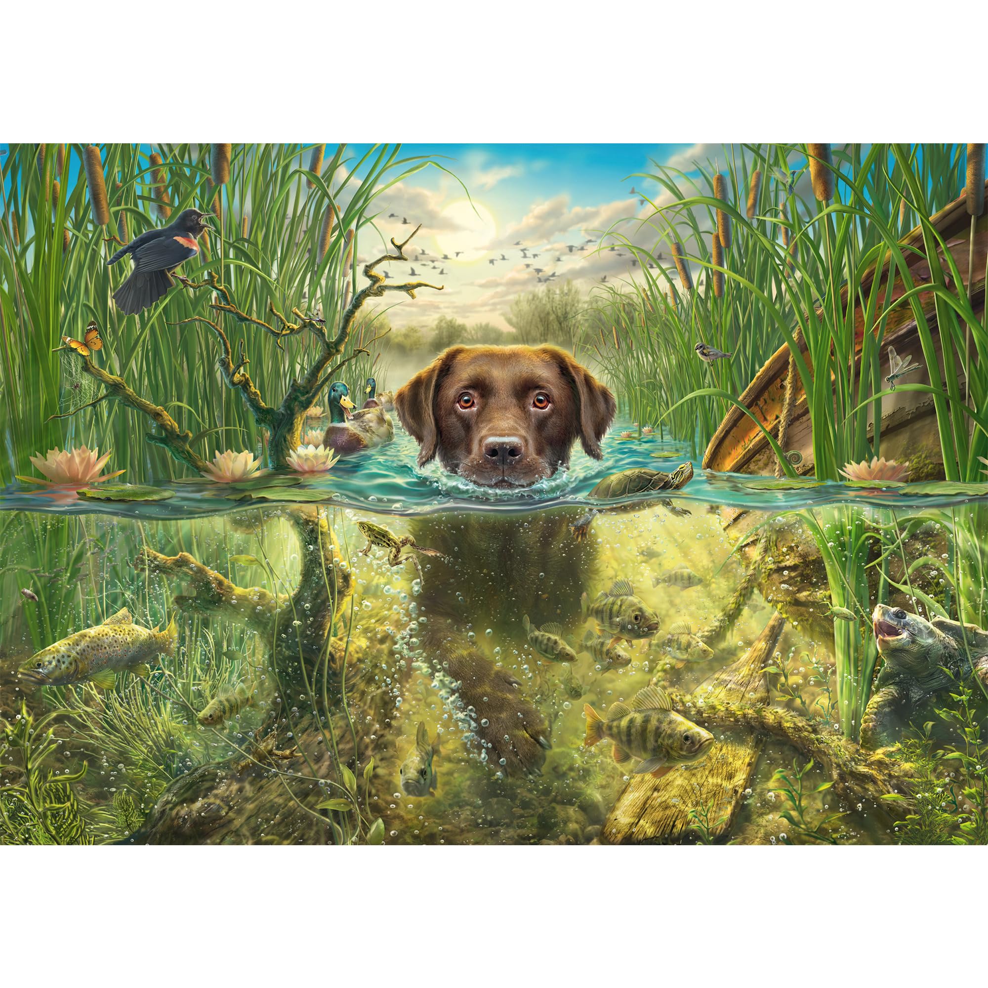schmidt-spiele-58572-brauner-labrador-puzzle-1000-teile-ab-12 image 2