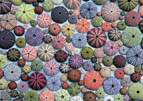 piatnik-seeigel-5488-puzzle-1000-teile-seeigel-motiv image 4