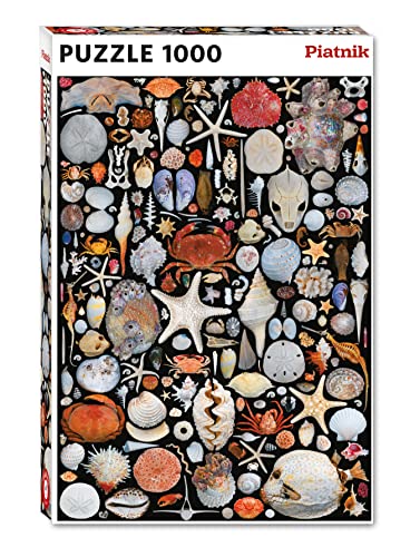 piatnik-strandgut-5586-puzzle-1000-teile-meeres-collage image 3