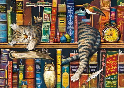 schmidt-frederick-der-literat-59991-puzzle-1000-teile-ab-12 image 6
