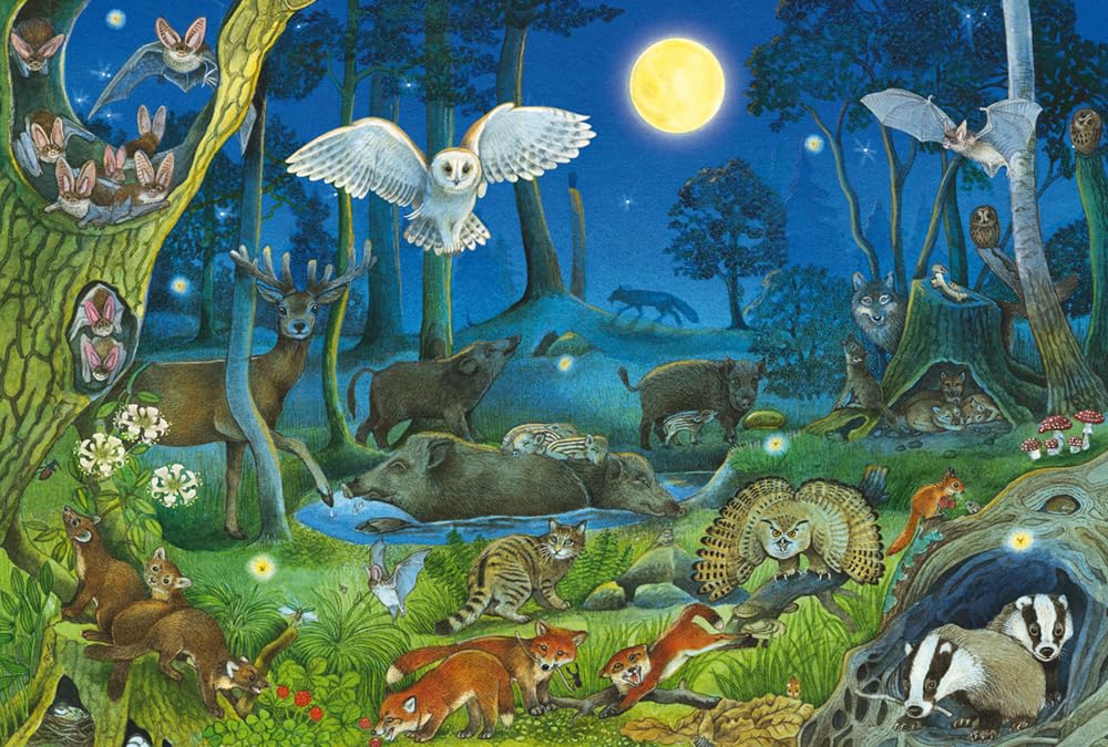 schmidt-spiele-56529-kinderpuzzle-100-teile-tiere-nachts-im-wald image 1