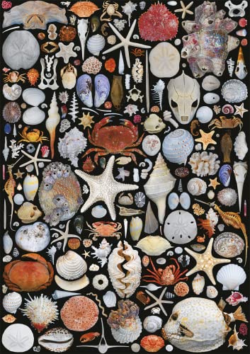 piatnik-strandgut-5586-puzzle-1000-teile-meeres-collage image 4