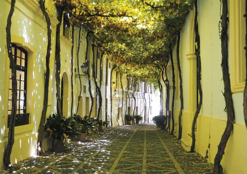 piatnik-5583-andalusische-gasse-puzzle-1000-teile image 4