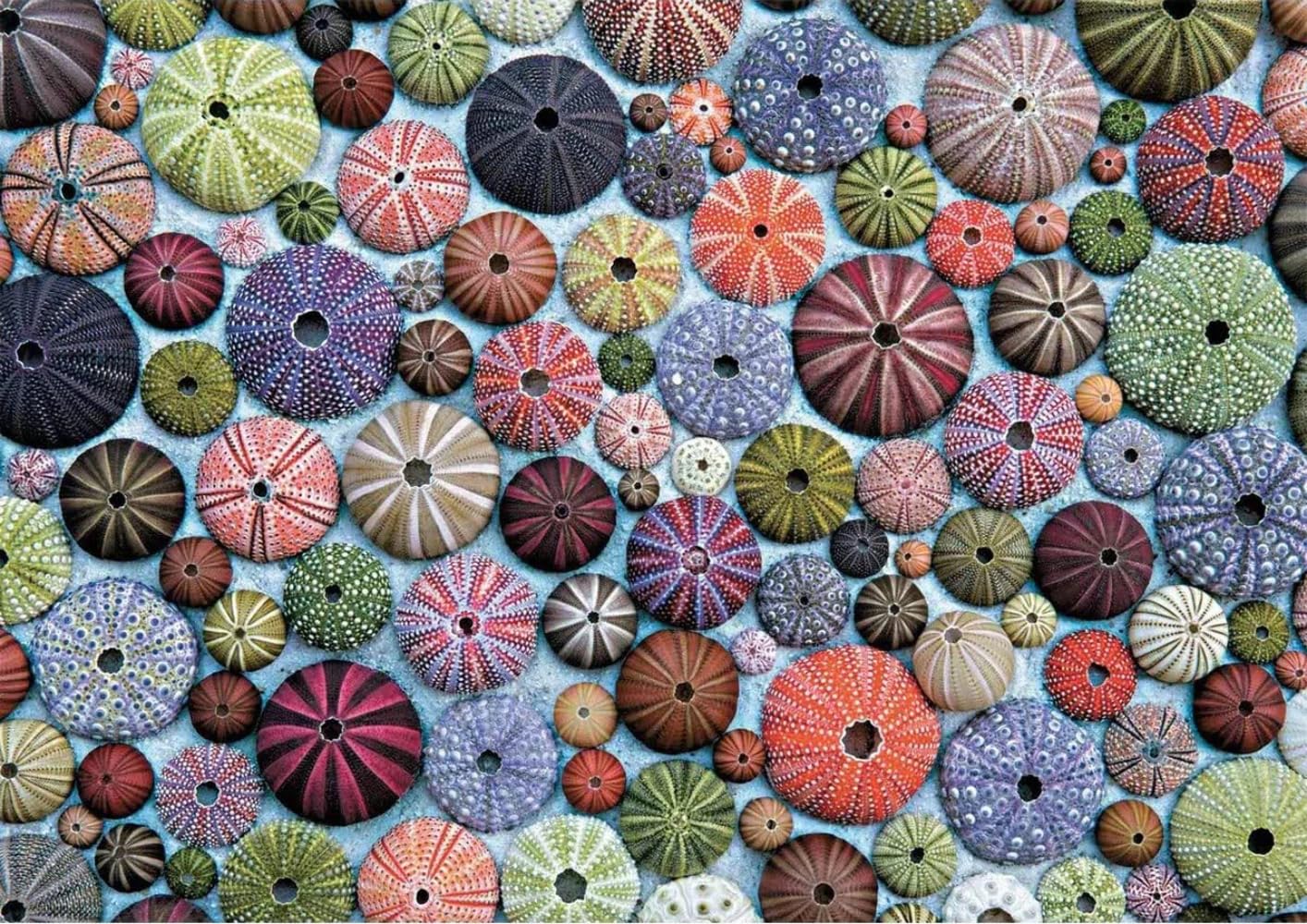 piatnik-seeigel-5488-puzzle-1000-teile-seeigel-motiv image 2