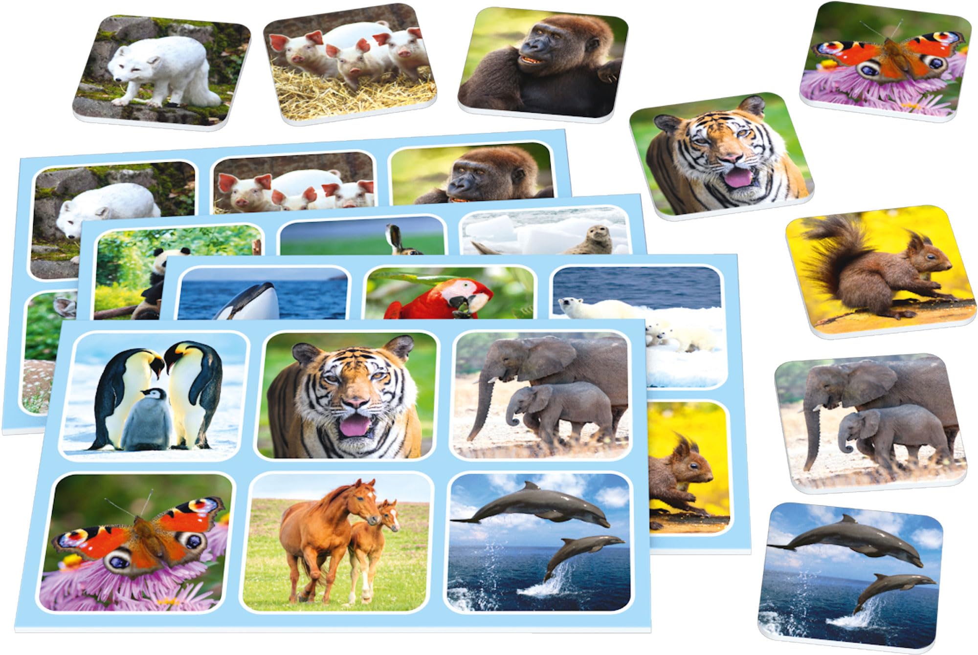 schmidt-spiele-classic-line-51433-zoo-lotto-spiel-metalldose-ab-3-jahren image 4