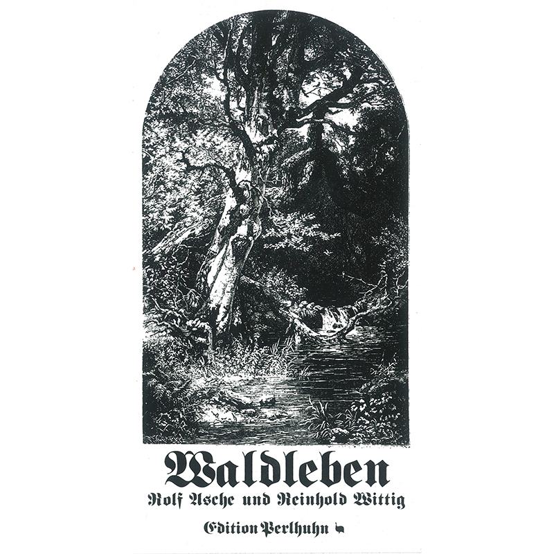 abacusspiele-cacao-waldleben-erweiterung-strategiespiel image 4