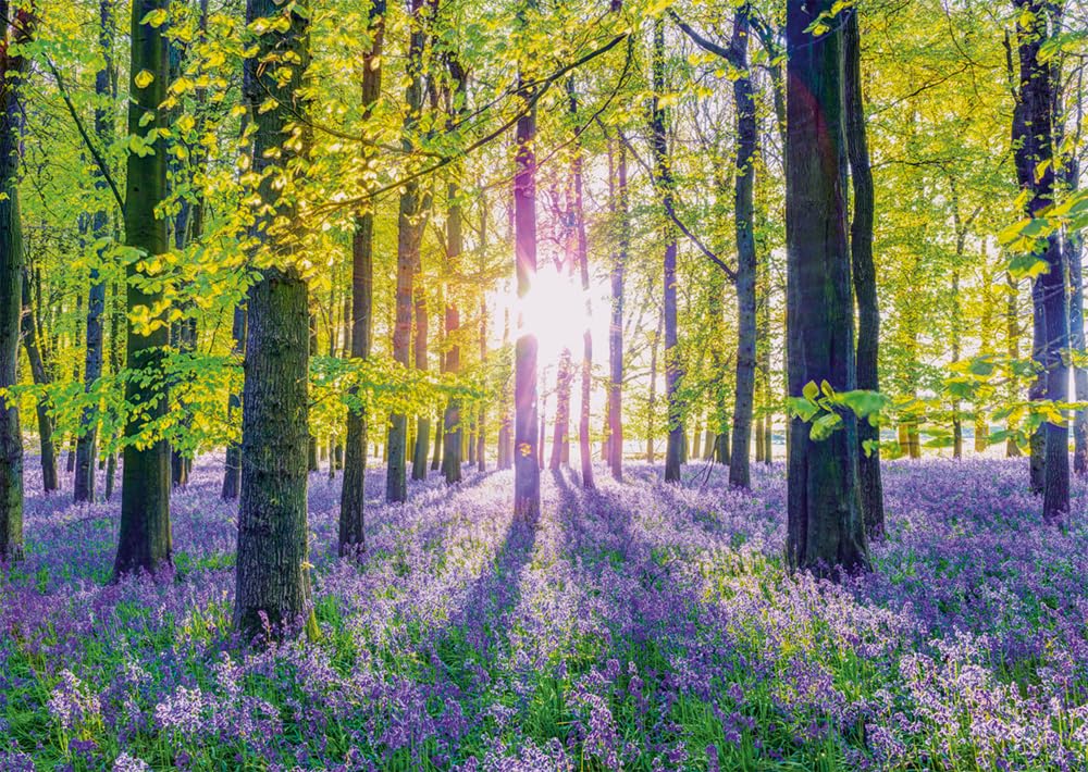 schmidt-zarte-glockenblumen-wald-puzzle-1000-teile-69x49-cm image 1